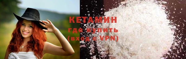 прущие грибы Абаза