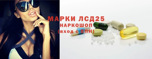 прущий лед Алзамай