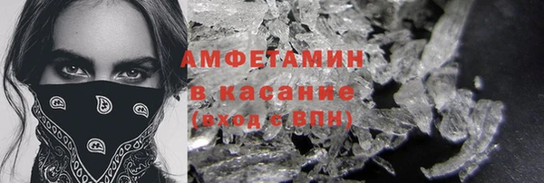 прущие грибы Абаза