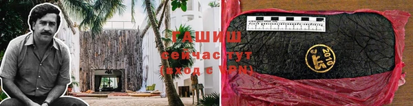 прущие грибы Абаза