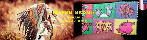 прущие грибы Абаза
